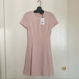 Theory modern seamed shift dress in sheer pink